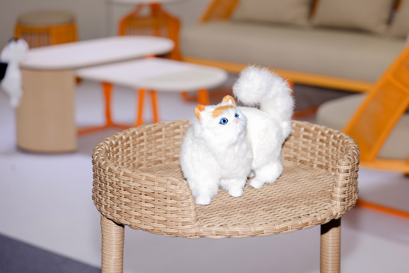 Top 8 Verified Pet Furniture Manufacturers in China | Dog and Cat Furniture