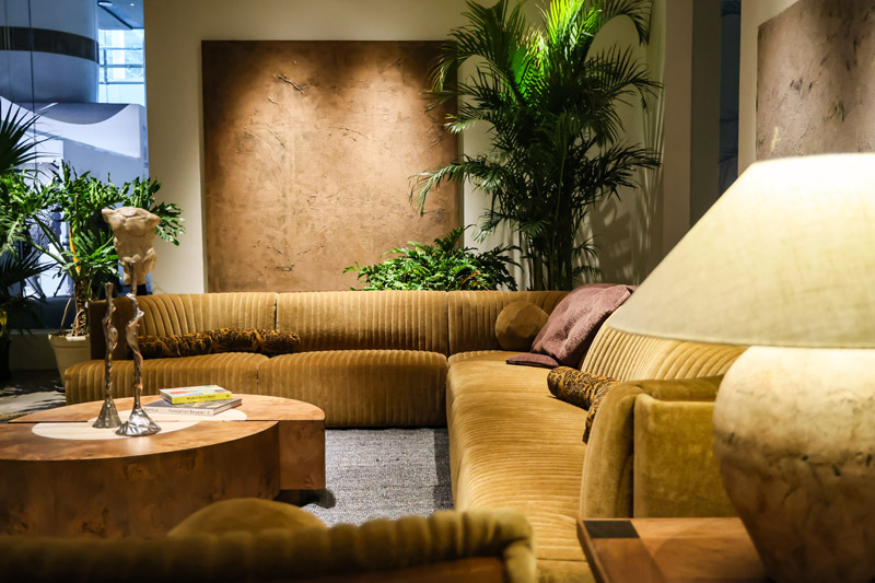 How to Remove Mold from Wooden Furniture: Mold Removal Solutions for Different Cases