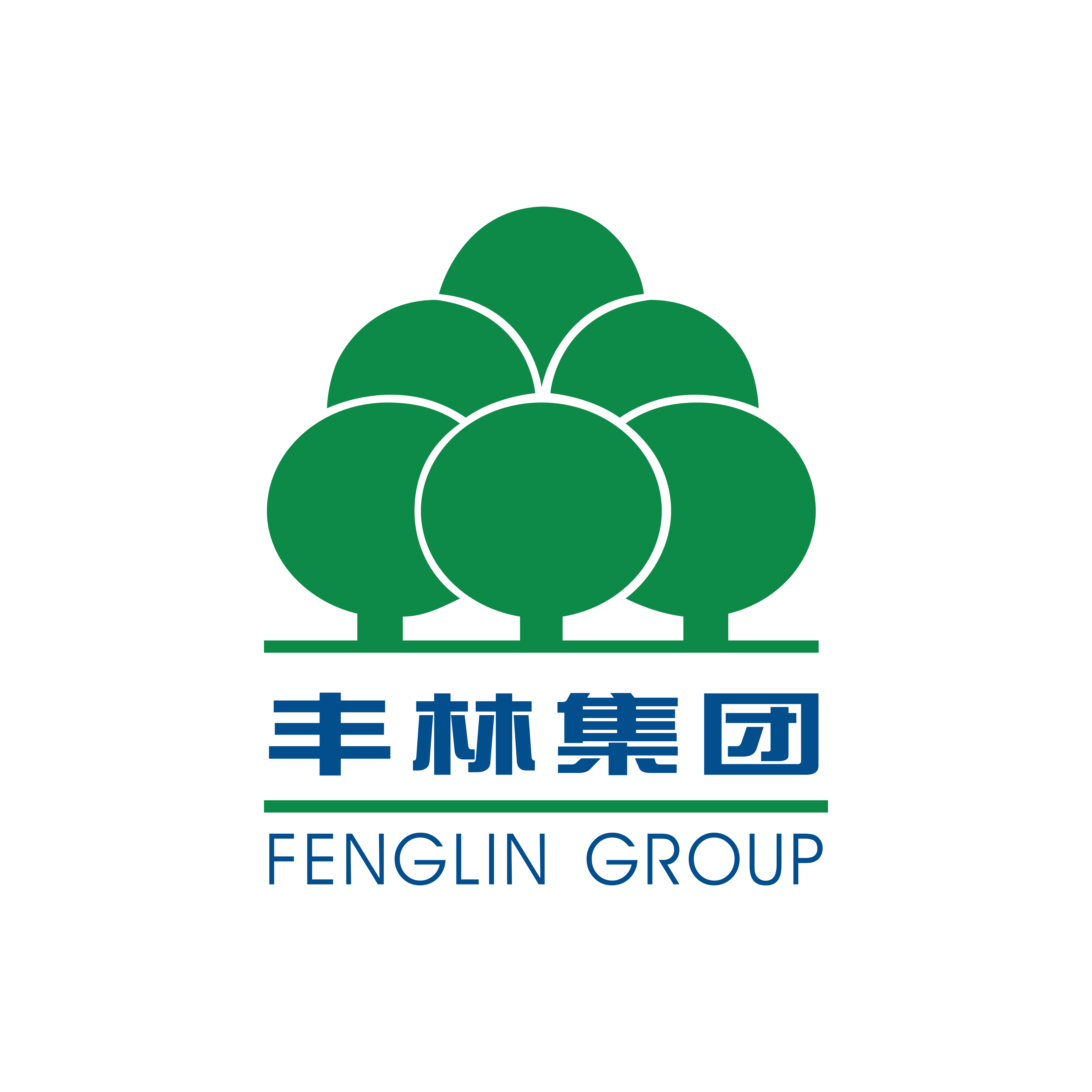 Guangxi Fenglin Wood Industry Group Co., Ltd.