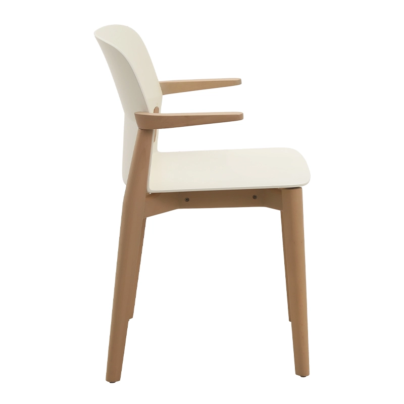 DC-S258A JAN Dining Chair