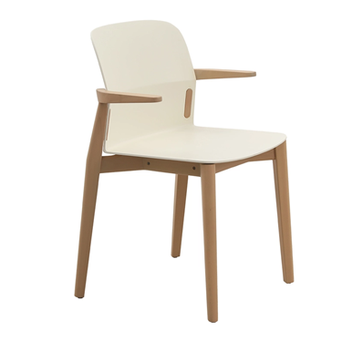 DC-S258A JAN Dining Chair