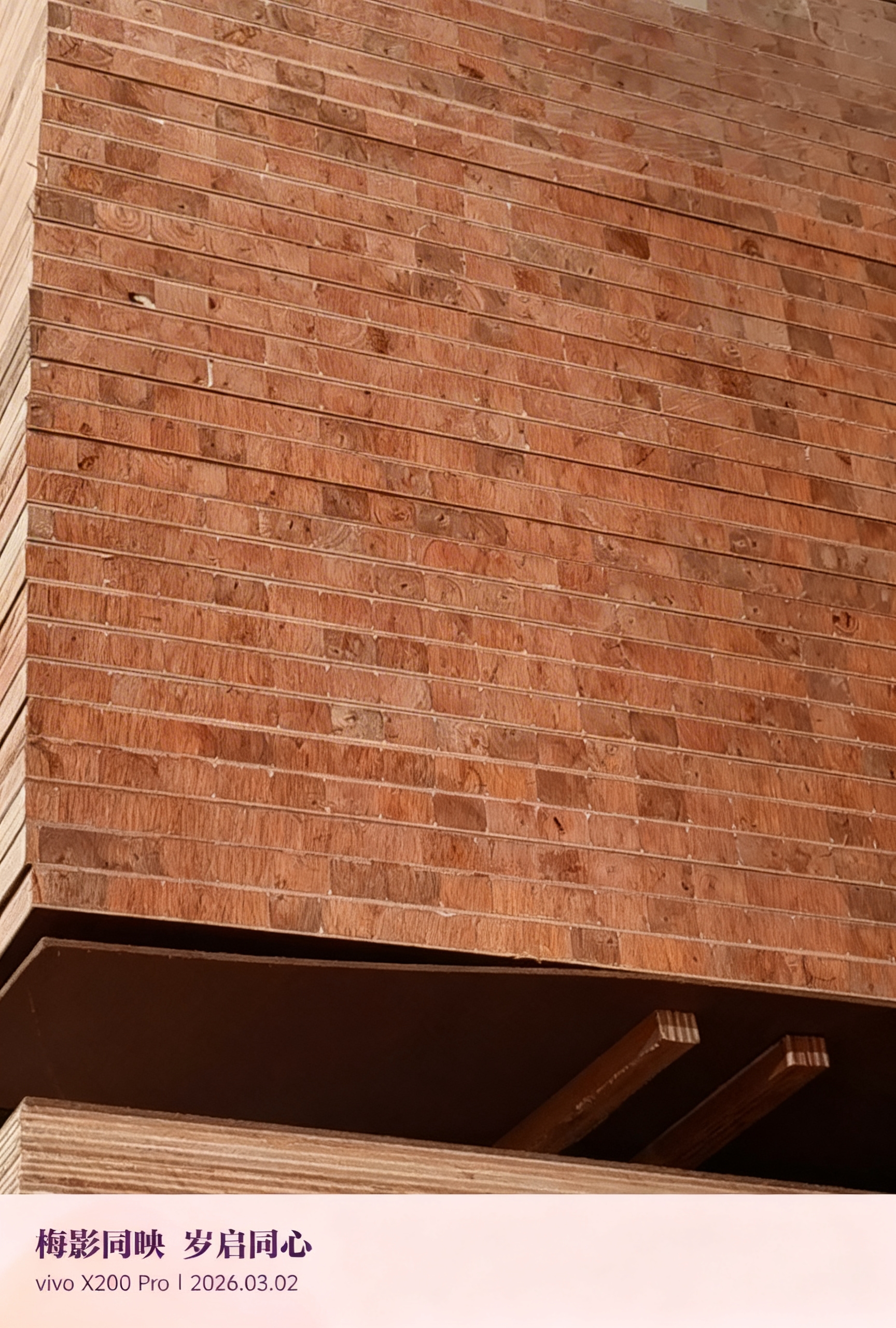 Eucalyptus plywood, multi-functional board, cedar board, chestnut board, rubberwood board, particle board